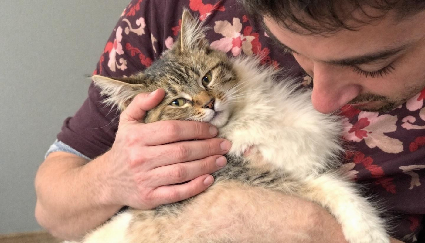 Comment préparer votre animal pour une consultation d'urgence vétérinaire ?